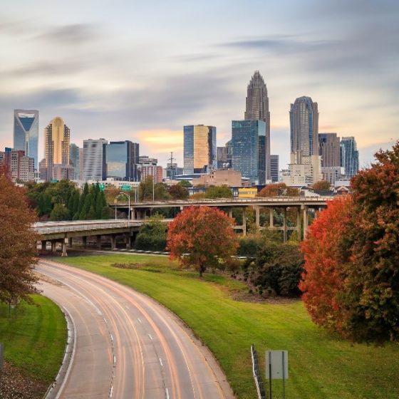 dreamstime_xxl_67031703-1