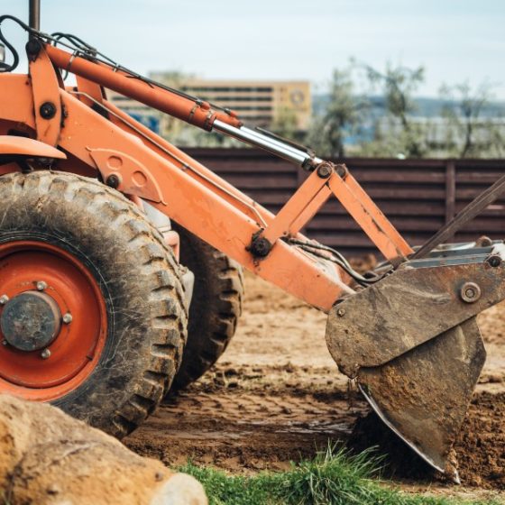 dreamstime_xxl_103622622